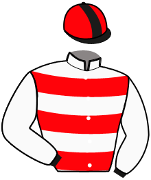 Casaque de GREAT D'ARRY