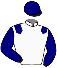 Casaque de BLOWN BY THE WIND