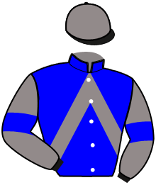 Casaque de NINJA D'HAVARD