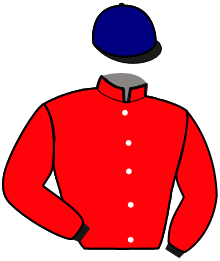 Casaque de MELEA DU CHENE