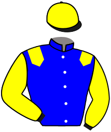 Casaque de NO LIMIT BLUE