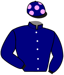 Casaque de MAGIC DE VILLODON