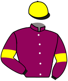 Casaque de TRIUMPH RETURN