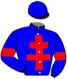 Casaque de IRON MESLOIS