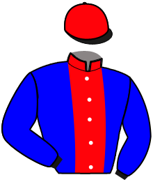 Casaque de MAGIC DE MAJULE