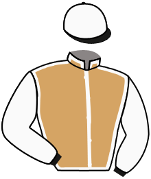 Casaque de JEU