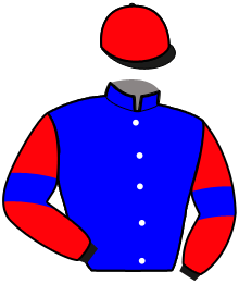 Casaque de INDY DE VIGNE