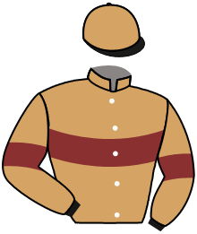 Casaque de LUCKY CHARM