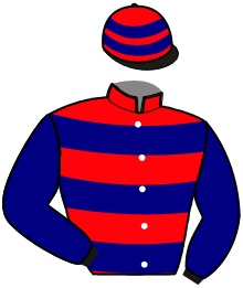 Casaque de JEWEL D'AUCHY