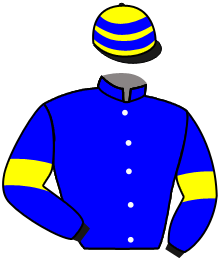 Casaque de DARING FOX