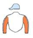 Casaque de THE GREAT TEXAS