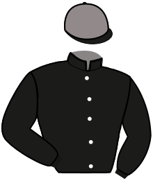 Casaque de GRAN PREMIO