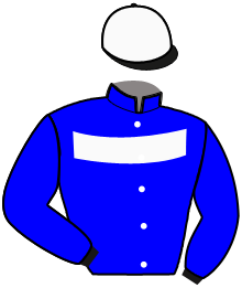 Casaque de NICKEL D'ERONVILLE