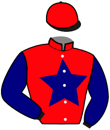 Casaque de LORELEI BLEUE