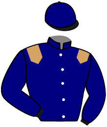 Casaque de STANLEY