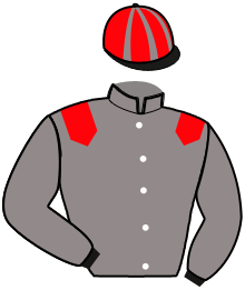 Casaque de MEMPHIS DE VAL