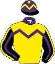 Casaque de STORMY WIND