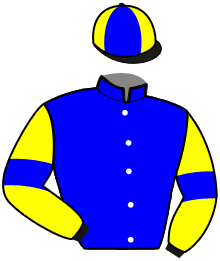 Casaque de NABRICO DE HOUELLE