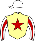 Casaque de NEW INN