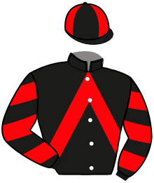 Casaque de JOSY D'OCCAGNES