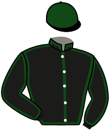 Casaque de MAJESTIC BOY