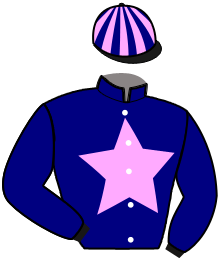 Casaque de NEW LIFE STAR