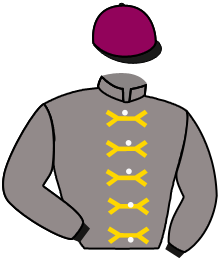 Casaque de AL THEEB