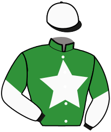 Casaque de JUNINHO SPORT