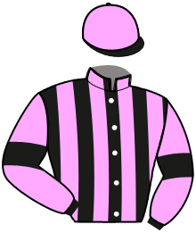 Casaque de KASH WIT