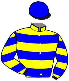 Casaque de NICKY JIEL