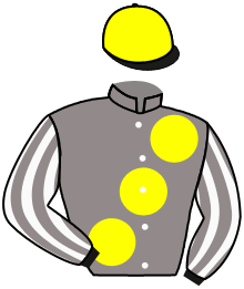 Casaque de OBSTINATION