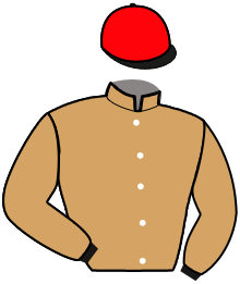 Casaque de MAGIC DU SABLIER