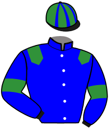 Casaque de MORELLO JIVE