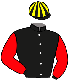 Casaque de MAVERICK DE VIETTE