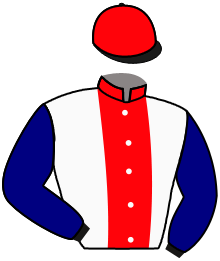 Casaque de MUXU DU PILLET