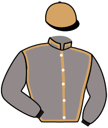 Casaque de EVERSTAR