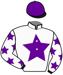 Casaque de MAESTRIA DU PARC