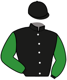Casaque de NINJA DE FEROL