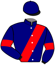 Casaque de NIKO DE TIMBOEUF