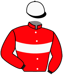 Casaque de LADY GA