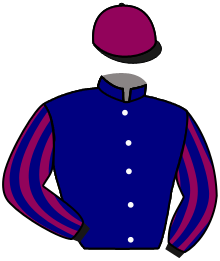 Casaque de CAMPEONA