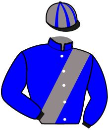 Casaque de NICKEL DE BAILLE