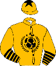 Casaque de DIONISO