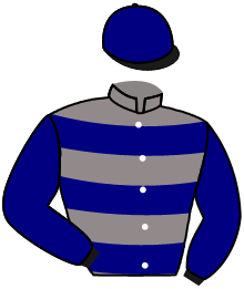 Casaque de MERLIN DES FORETS