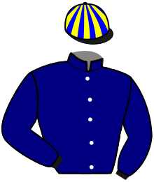 Casaque de IRON MAN
