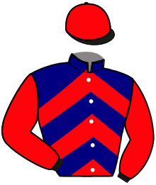 Casaque de MAMBO DE LA VALLEE