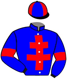 Casaque de SAUTERN DE HOUELLE