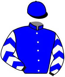 Casaque de SARALD