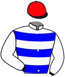 Casaque de NARCO D'AINAY