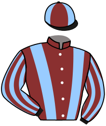 Casaque de VIENNA'S PRIDE